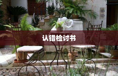 认错检讨书