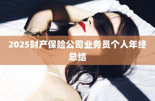 2025财产保险公司业务员个人年终总结