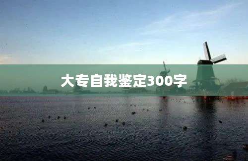 大专自我鉴定300字