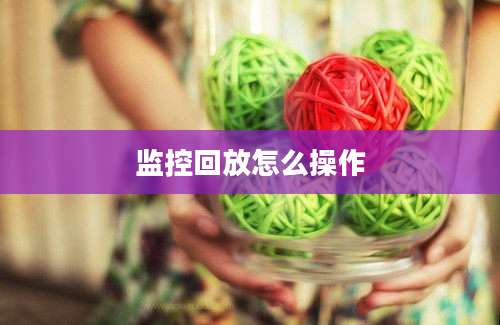 监控回放怎么操作
