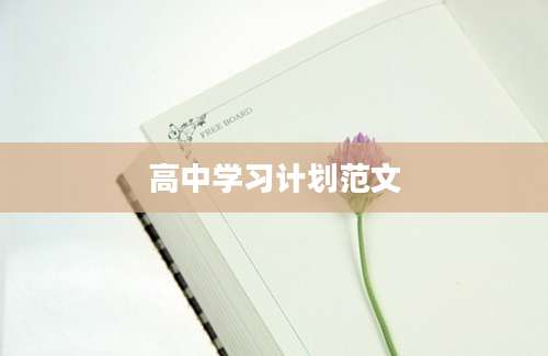 高中学习计划范文