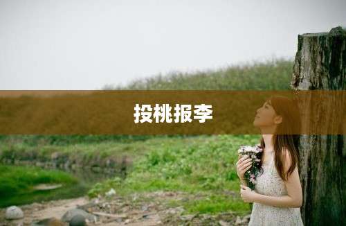 投桃报李