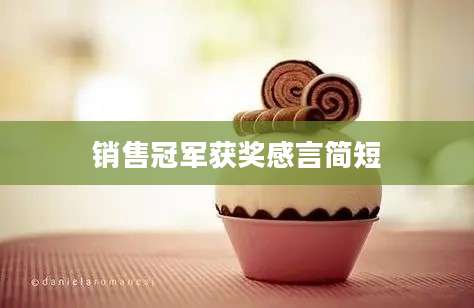 销售冠军获奖感言简短