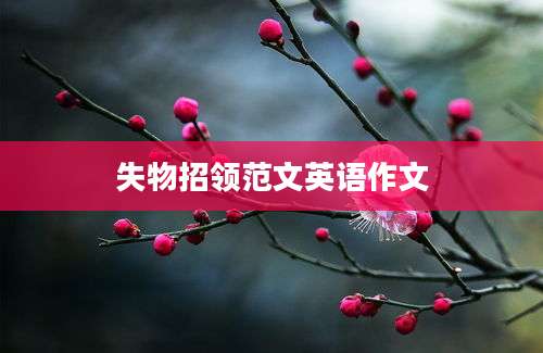 失物招领范文英语作文