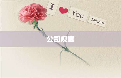 公司规章