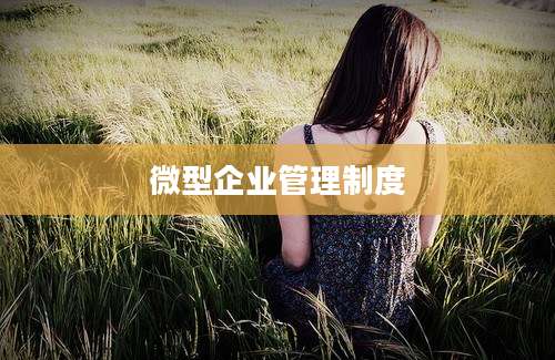微型企业管理制度