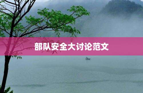 部队安全大讨论范文