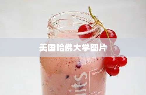 美国哈佛大学图片