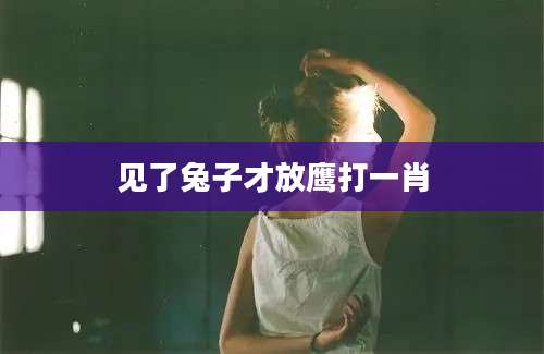 见了兔子才放鹰打一肖
