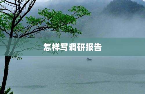 怎样写调研报告