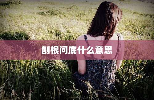 刨根问底什么意思
