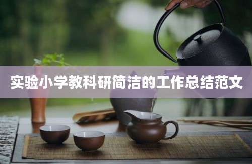 实验小学教科研简洁的工作总结范文