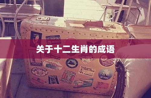 关于十二生肖的成语
