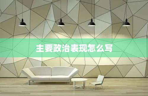 主要政治表现怎么写