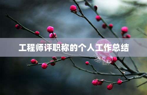 工程师评职称的个人工作总结
