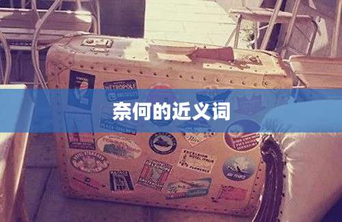 奈何的近义词