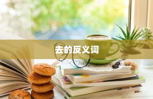 去的反义词