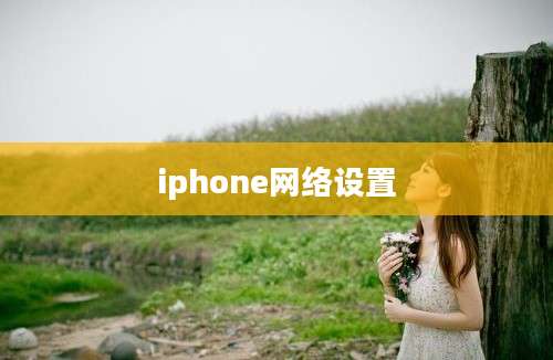 iphone网络设置