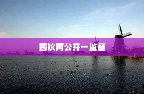 四议两公开一监督