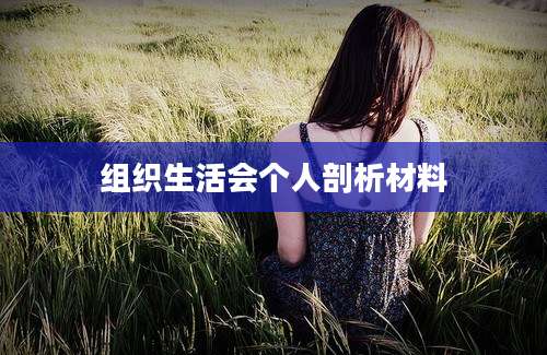 组织生活会个人剖析材料
