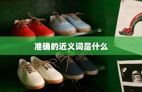 准确的近义词是什么