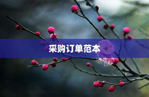 采购订单范本