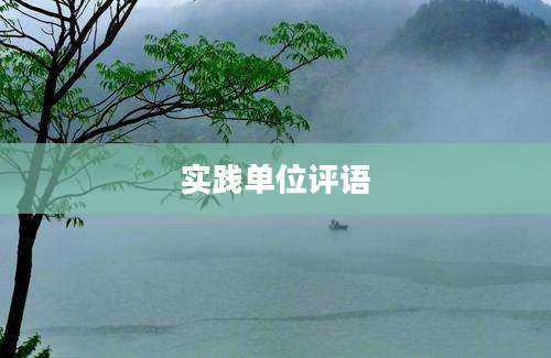 实践单位评语