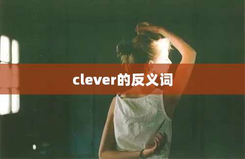 clever的反义词