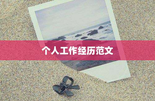 个人工作经历范文
