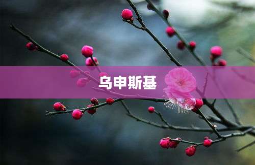 乌申斯基