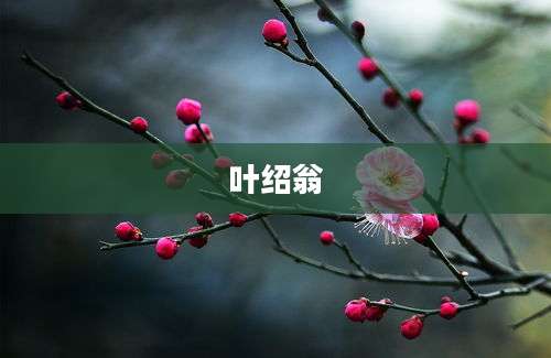 叶绍翁