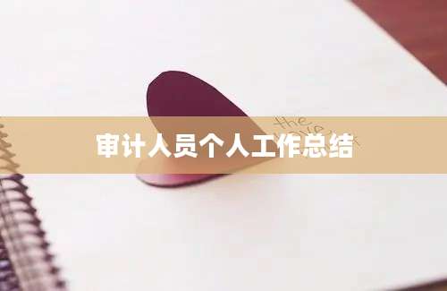 审计人员个人工作总结