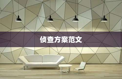 侦查方案范文
