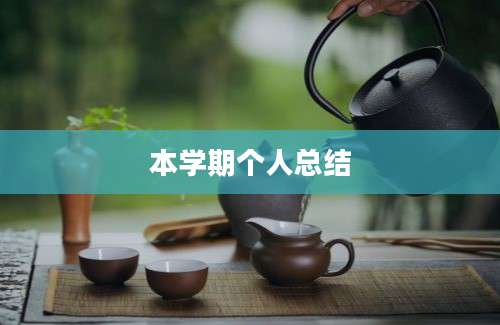 本学期个人总结