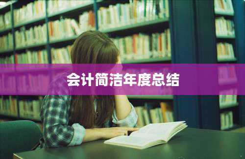 会计简洁年度总结