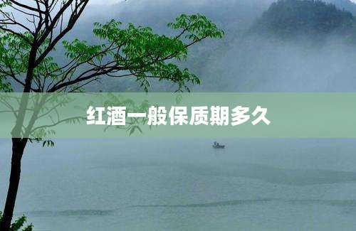 红酒一般保质期多久