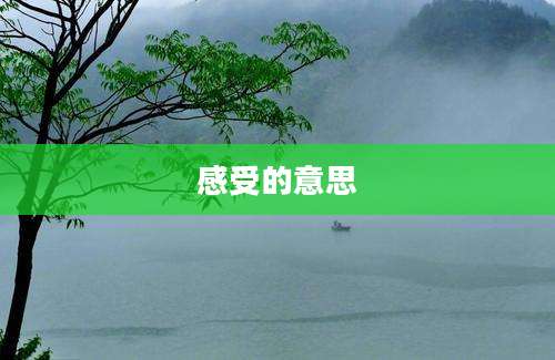 感受的意思