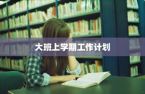大班上学期工作计划