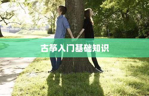 古筝入门基础知识