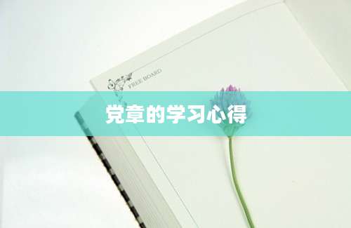 党章的学习心得