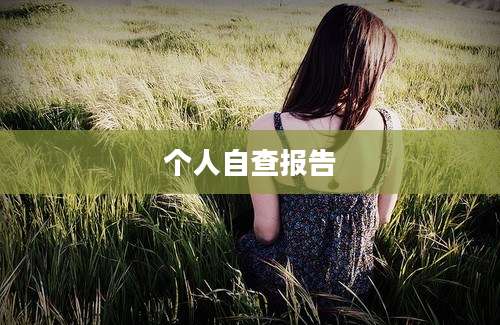 个人自查报告