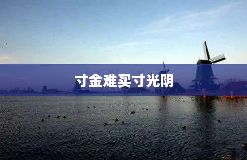寸金难买寸光阴