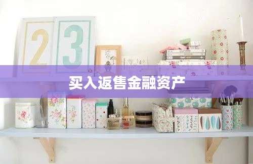 买入返售金融资产
