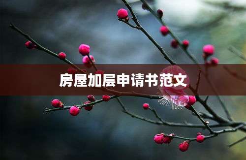 房屋加层申请书范文