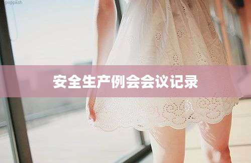 安全生产例会会议记录