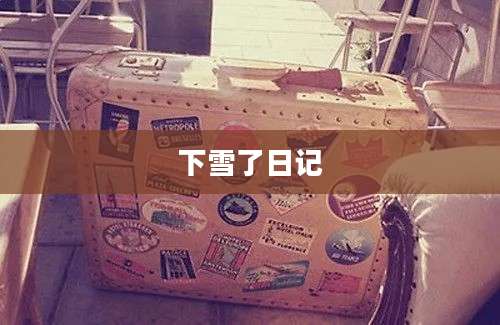 下雪了日记