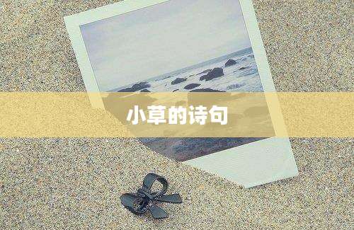 小草的诗句