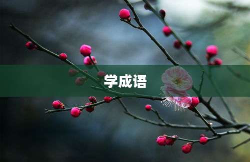 学成语