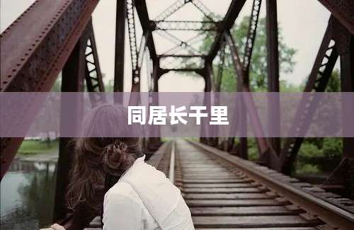 同居长干里