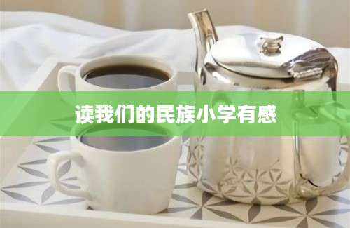 读我们的民族小学有感